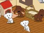 Play Animal Shelter on Games440.COM
