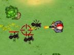 Play Bug Hunter on Games440.COM