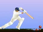 Play Top Spinner Cricket Game